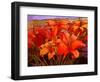 Day Lilies III-John Newcomb-Framed Giclee Print