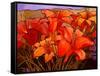 Day Lilies III-John Newcomb-Framed Stretched Canvas