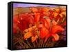 Day Lilies III-John Newcomb-Framed Stretched Canvas