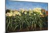 Day Lillies, c.1992-Helen J. Vaughn-Mounted Giclee Print