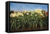 Day Lillies, c.1992-Helen J. Vaughn-Framed Stretched Canvas