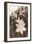 Day Lillies-Mindy Sommers-Framed Giclee Print