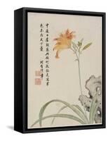 Day-Lily from a Flower Album of Ten Leaves, 1656-Shengmo Xiang-Framed Stretched Canvas