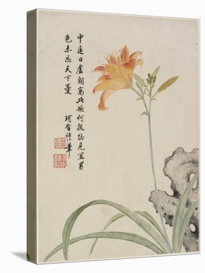 Day-Lily from a Flower Album of Ten Leaves, 1656-Shengmo Xiang-Stretched Canvas