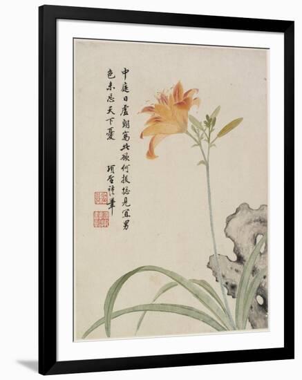 Day-Lily from a Flower Album of Ten Leaves, 1656-Shengmo Xiang-Framed Giclee Print