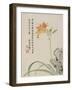 Day-Lily from a Flower Album of Ten Leaves, 1656-Shengmo Xiang-Framed Giclee Print