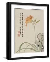 Day-Lily from a Flower Album of Ten Leaves, 1656-Shengmo Xiang-Framed Giclee Print