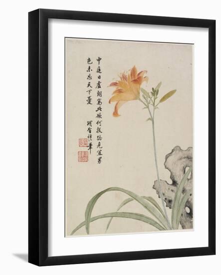 Day-Lily from a Flower Album of Ten Leaves, 1656-Shengmo Xiang-Framed Giclee Print