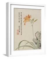 Day-Lily from a Flower Album of Ten Leaves, 1656-Shengmo Xiang-Framed Giclee Print