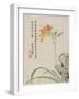 Day-Lily from a Flower Album of Ten Leaves, 1656-Shengmo Xiang-Framed Giclee Print