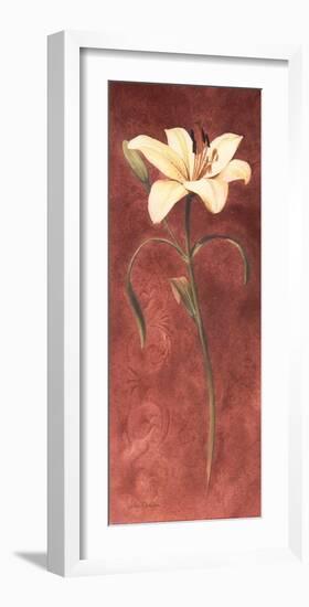 Day Lily-John Clayton-Framed Art Print