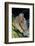 Day Octopus-Hal Beral-Framed Photographic Print