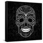 Day Of The Dead Black And White Skull-Alisa Foytik-Framed Stretched Canvas