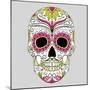 Day of the Dead Colorful Skull with Floral Ornament-Alisa Foytik-Mounted Art Print