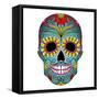 Day of the Dead Colorful Skull with Floral Ornament-Alisa Foytik-Framed Stretched Canvas