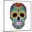 Day of the Dead Colorful Skull with Floral Ornament-Alisa Foytik-Mounted Art Print