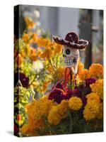 Day of the Dead Decorations-Craig Lovell-Stretched Canvas