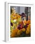 Day of the Dead Decorations-Craig Lovell-Framed Photographic Print