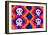 Day of the Dead Flowers Mural-AGCuesta-Framed Photographic Print