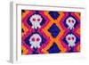 Day of the Dead Flowers Mural-AGCuesta-Framed Photographic Print