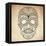 Day of the Dead Grungy Skull-Alisa Foytik-Framed Stretched Canvas