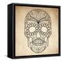 Day of the Dead Grungy Skull-Alisa Foytik-Framed Stretched Canvas