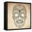 Day of the Dead Grungy Skull-Alisa Foytik-Framed Stretched Canvas