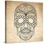 Day of the Dead Grungy Skull-Alisa Foytik-Stretched Canvas