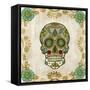 Day of the Dead I-Grace Popp-Framed Stretched Canvas