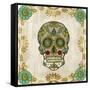 Day of the Dead I-Grace Popp-Framed Stretched Canvas