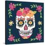 Day of the Dead II-Farida Zaman-Stretched Canvas