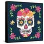 Day of the Dead II-Farida Zaman-Framed Stretched Canvas