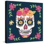 Day of the Dead II-Farida Zaman-Stretched Canvas