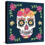 Day of the Dead II-Farida Zaman-Stretched Canvas