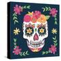 Day of the Dead II-Farida Zaman-Stretched Canvas