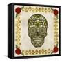 Day of the Dead II-Grace Popp-Framed Stretched Canvas