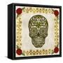 Day of the Dead II-Grace Popp-Framed Stretched Canvas