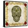 Day of the Dead II-Grace Popp-Framed Stretched Canvas