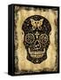 Day of the Dead in Black & Gold-Martin Wagner-Framed Stretched Canvas