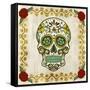 Day of the Dead IV-Grace Popp-Framed Stretched Canvas