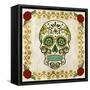Day of the Dead IV-Grace Popp-Framed Stretched Canvas