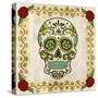 Day of the Dead IV-Grace Popp-Stretched Canvas