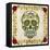 Day of the Dead IV-Grace Popp-Framed Stretched Canvas