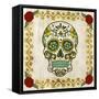 Day of the Dead IV-Grace Popp-Framed Stretched Canvas