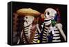 Day of the Dead Skeleton Figures-Danny Lehman-Framed Stretched Canvas