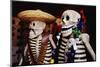 Day of the Dead Skeleton Figures-Danny Lehman-Mounted Photographic Print