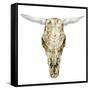 Day of the Dead Skull Mount VIII-Studio W-Framed Stretched Canvas