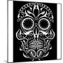 Day of the Dead Skull-lineartestpilot-Mounted Photographic Print