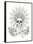 Day of the Dead-Jallom-Framed Stretched Canvas