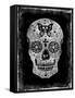 Day of the Dead-Martin Wagner-Framed Stretched Canvas